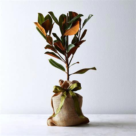 unnamed image